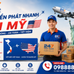 Dịch vụ chuyển phát nhanh đi Mỹ của 247 Việt Nam di my